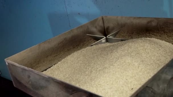 Reis in eine Verpackungsmaschine füllen, Nahaufnahme — Stockvideo