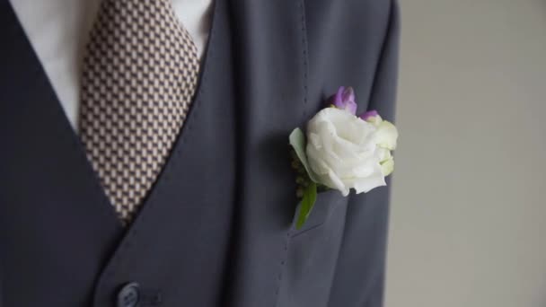 The groom straightens the buttonhole, wedding day — Stock Video