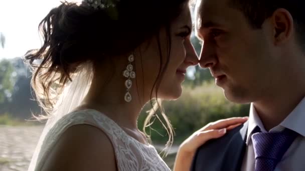 Batan güneşin içinde yeni evliler — Stok video