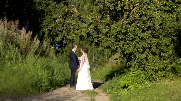 Jonggehuwden op een wandeling in de buurt van een appelboom op een zonnige dag — Stockvideo