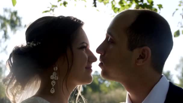 Наречений і наречений на сонці повільний мо — стокове відео
