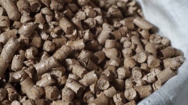 Pellets background close up — Stock Video