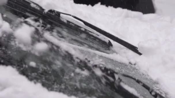 Auto ruitenwissers vegen sneeuw in de winter — Stockvideo