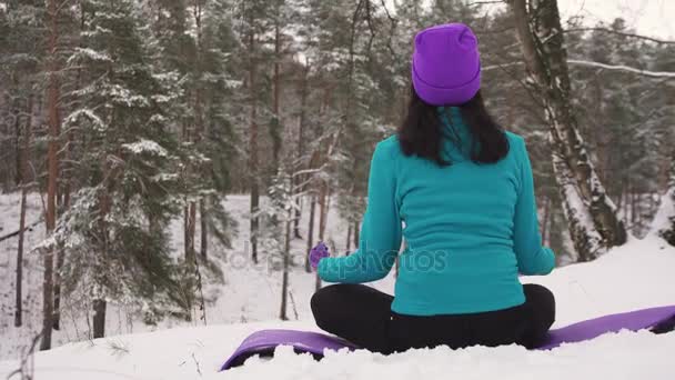Πρακτική της γιόγκα σε εξωτερικούς χώρους χειμώνα κορίτσι — Αρχείο Βίντεο
