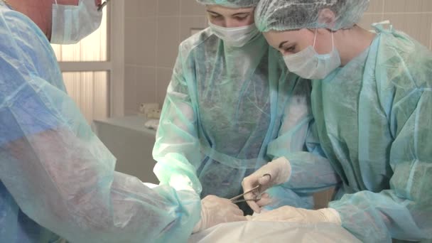 En sjuksköterska hjälper en kirurg under en operation — Stockvideo