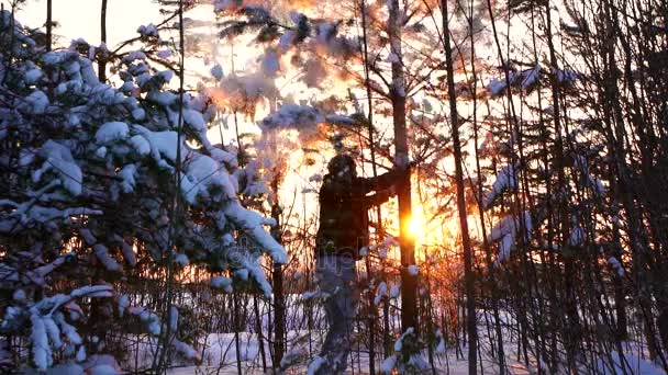 Een man schudt een boom waaruit de sneeuw bij zonsondergang valt — Stockvideo