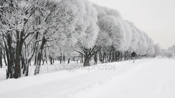 Einsamer Läufer bei Schneefall im Winter — Stockvideo