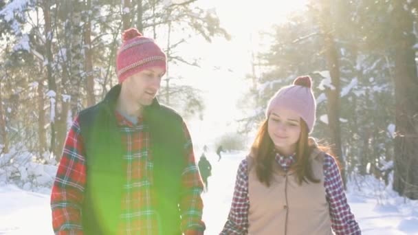 Dívka s mladým mužem, chůzi, drží na rukou, s úsměvem, chodit po parku zimní za slunečného dne — Stock video