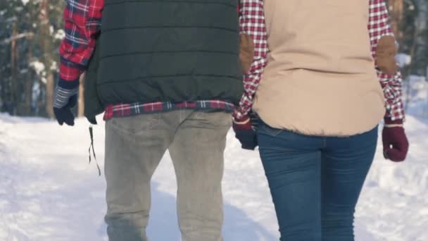 Chica con un hombre joven caminando agarrado a la mano, caminando en el parque de invierno, en un día soleado, la vista desde la parte posterior — Vídeo de stock