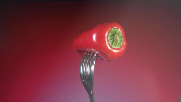 Tenedor con pimienta roja fresca con gotas de agua, rotación de fondo rojo — Vídeos de Stock