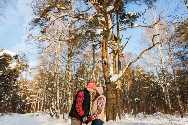 冬の森でポーズをとる夫婦 — ストック写真