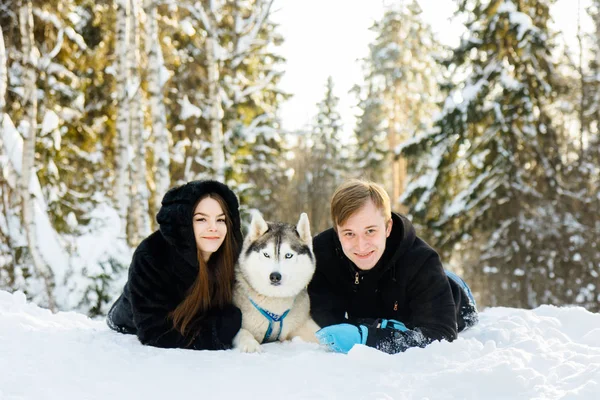 seven karda husky köpekleri ile kış güneşli ormandaki Çift