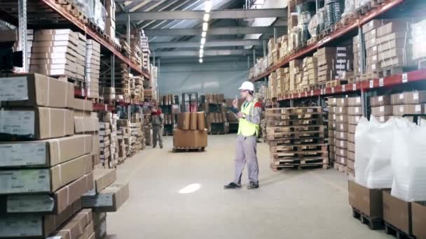 Работа нескольких работников склада — стоковое видео