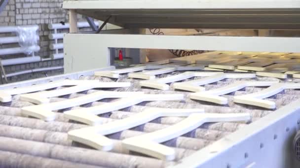 Uomo lavora sulla linea di verniciatura automatica di prodotti in legno — Video Stock