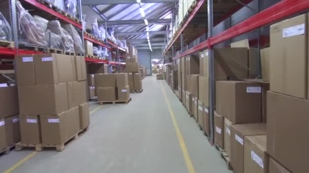 Коммерческий склад с коробками — стоковое видео