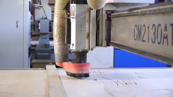 Visa träbearbetning carving maskiner möbelfabrik — Stockvideo