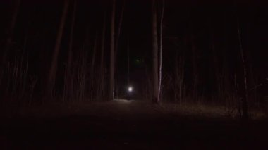 yansıtıcı yelek bir fenerle bir ormandaki adam