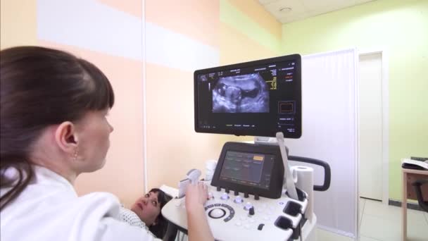 Femme enceinte médecin visiteuse pour un contrôle régulier — Video