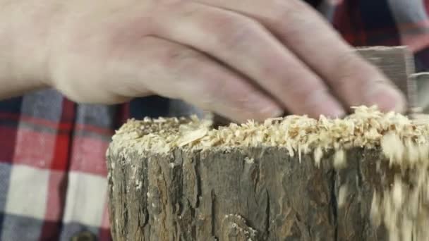 Hand eines Tischlers im Hemd, der einen Baum in Großaufnahme schleift — Stockvideo