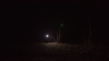 karanlık bir ormanda bir fenerle bir adam girer