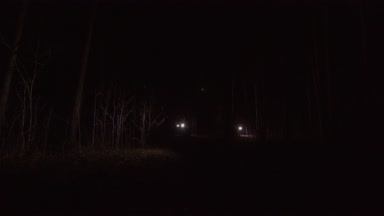 fenerler gece ormanda ile birkaç kişi arıyor