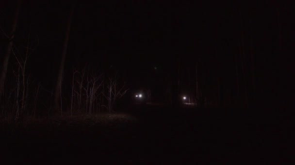 Varias personas están buscando con linternas en el bosque nocturno — Vídeo de stock