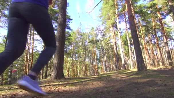 fille sur une course dans une forêt ensoleillée dolly shot 