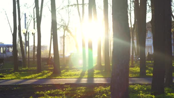 Táj a városi park, a nap és az emberek felismerhetetlen — Stock videók