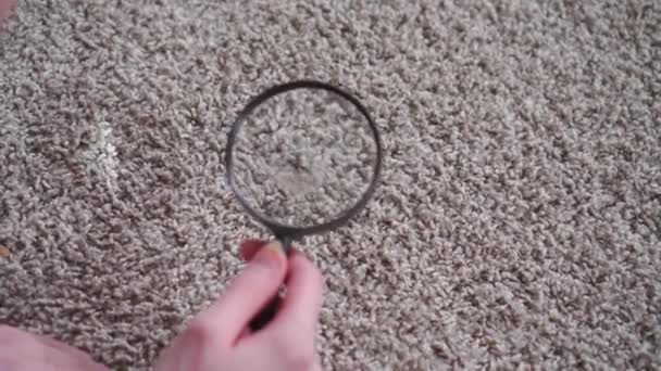 Young woman magnifying glass finds and examines animal hair on the carpet close up — ストック動画