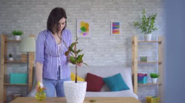 Genç kadın yaprakların uçtuğu bitkiyle ilgileniyor.