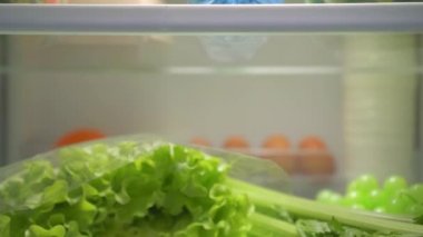 Buzdolabında taze yemek yok.