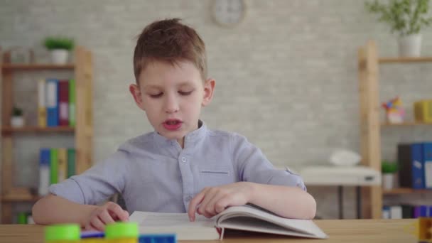 Menino pré-escolar lendo um livro — Vídeo de Stock