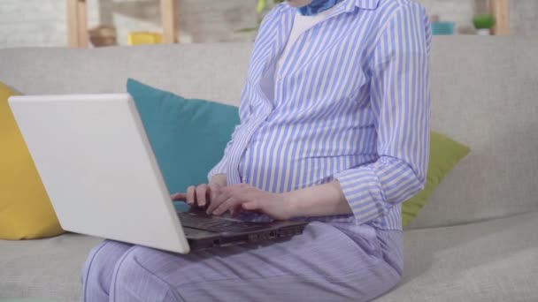 A unrecognizable young pregnant woman uses laptop to search the Internet — 图库视频影像