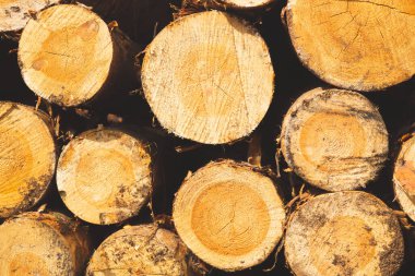 Kütük yığını. Keresteli doğal ahşap arka plan. Kütük duvar. Kereste yığını