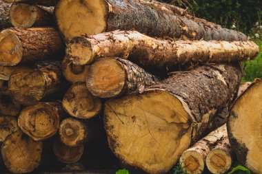 Kütük yığını. Kereste kesikli doğal ahşap zemin. kayıt duvarı