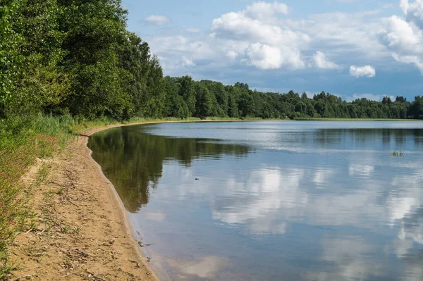 Linha Costeira Lago Floresta Verde Perto Água — Fotografia de Stock