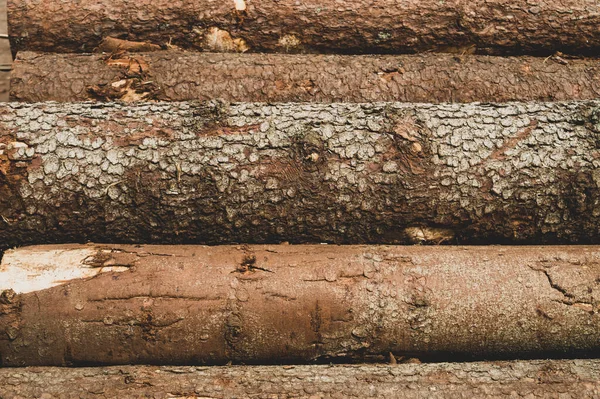 Pile Wooden Logs Texture Timber Background Untreated Wood — Stock Photo, Image