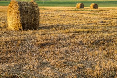 Yuvarlanmış saman yığını. saman balyası. Tarım alanı. Kırsal alan. Çayırda saman var. Yazın hasat. Kırsalda bir çiftlik.