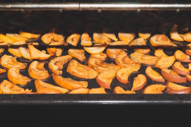 Fırında kurutulmuş elma dilimleri. organik sağlıklı yiyecekler. vejetaryen besin