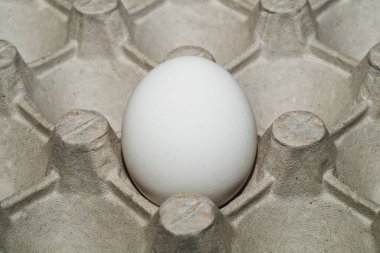 Kutu arka planında beyaz yumurta. Yemek malzemesi. Protein besin. Sağlıklı kahvaltı. tavuk yumurtası.