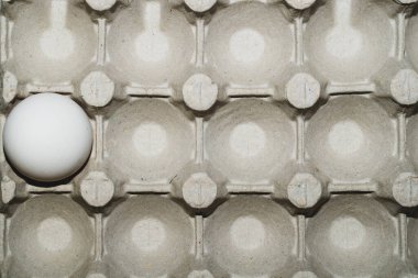 Kutu arka planında beyaz yumurta. Yemek malzemesi. Protein besin. Sağlıklı kahvaltı. tavuk yumurtası.