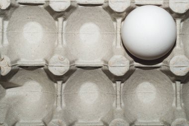 Kutu arka planında beyaz yumurta. Yemek malzemesi. Protein besin. Sağlıklı kahvaltı. tavuk yumurtası.