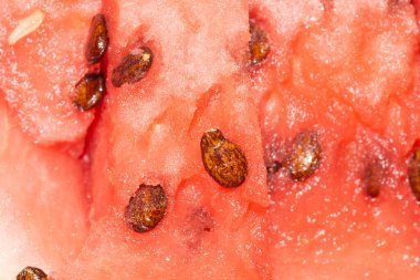 Karpuz soyut makro dokusu. taze meyve arkaplanı