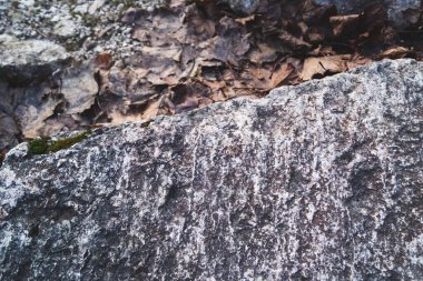 Taş yüzeyi kapat. kayalık arkaplan