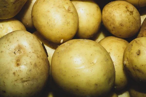 Batatas Jovens Frescas Vegetais Crus Nutrição Saudável Comida Vegetariana — Fotografia de Stock