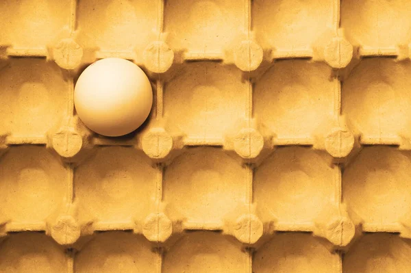 Karton arka planda yumurta. Yemek malzemesi. Protein besin. Sağlıklı kahvaltı. tavuk yumurtası.