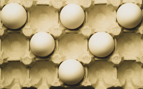 White eggs in carton box background. food ingredient. protein nutrition. healthy breakfast. poultry egg