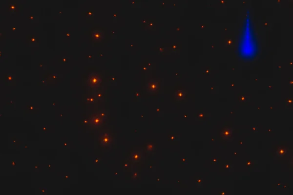 Parıltılı ışıklar arka planda. Yıldızlar parlıyor