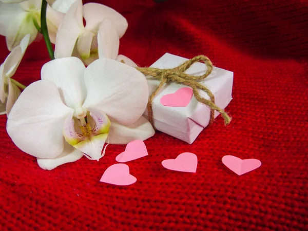 Orchidea bianca e confezione regalo su sfondo rosso, sfondo San Valentino. Piccoli cuori di carta . — Foto Stock