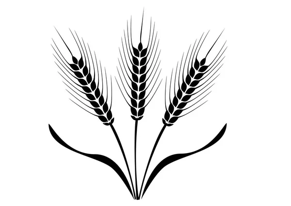 Uši pšenice, ječmene nebo žita vektorové vizuální grafické ikony — Stockový vektor